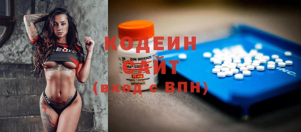 молекула духа Алексин