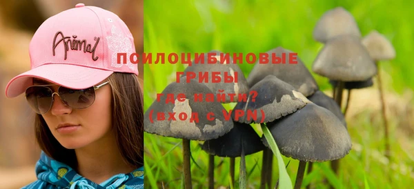 a pvp Алзамай