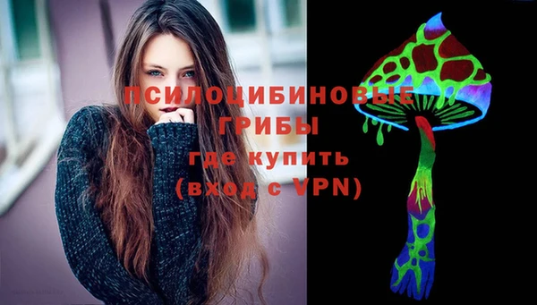 a pvp Алзамай