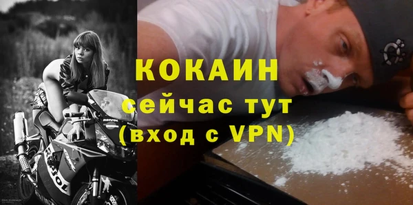 молекула духа Алексин